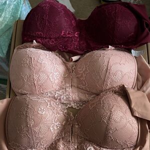 Elegant Lace Push-Up Bra Set - Burgundy and Pink